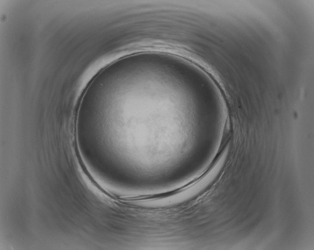 X0000085321531200703091458