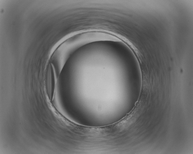 X0000085321534200703091458