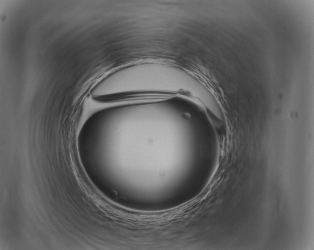 X0000085320001200703161517