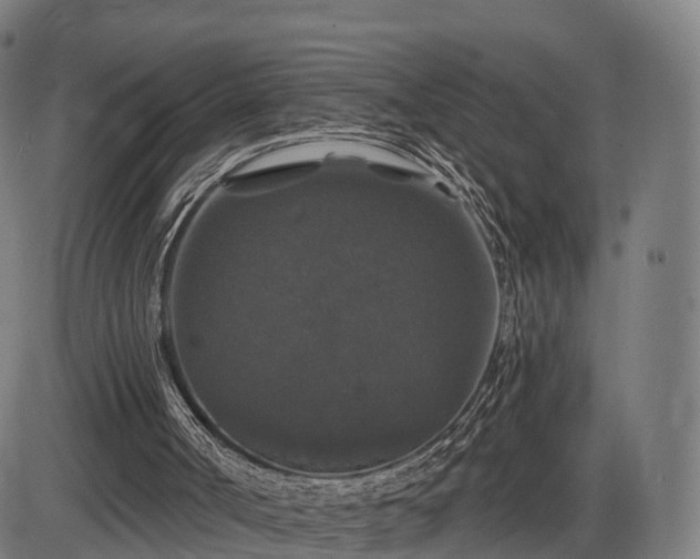 X0000085320002200703161517