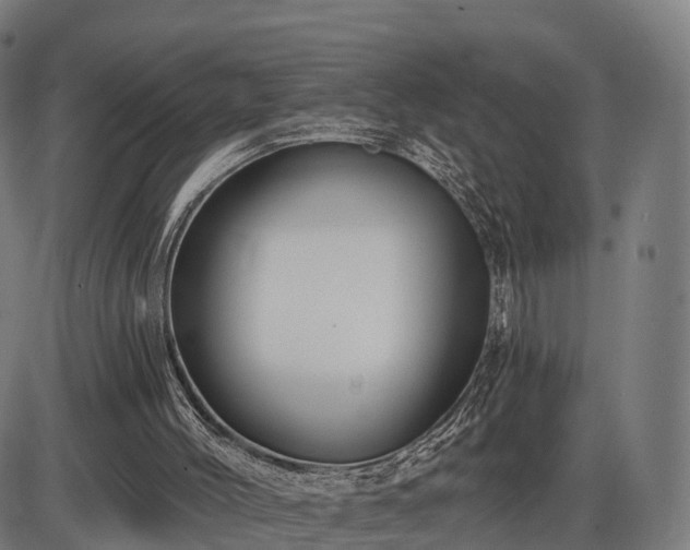X0000085320004200703161517