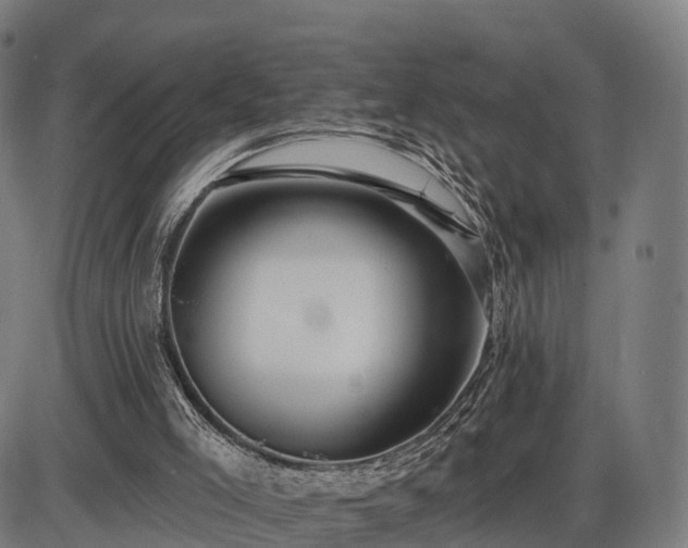 X0000085320005200703161517