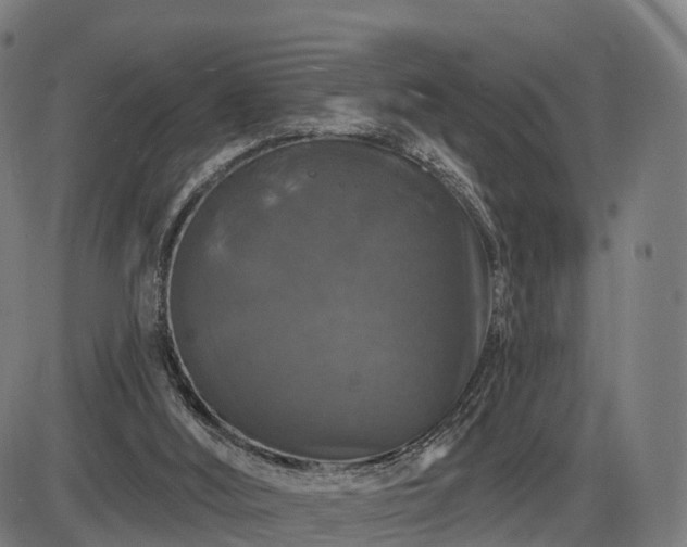 X0000085320012200703161517