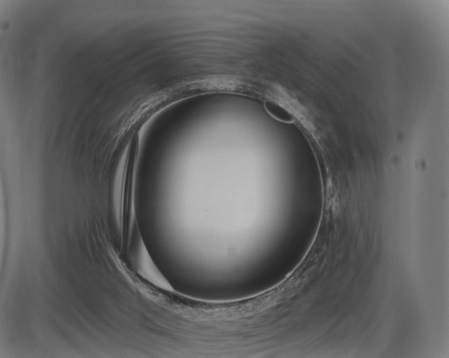 X0000085320013200703161517
