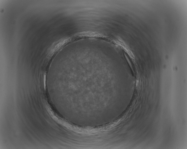 X0000085320014200703161517