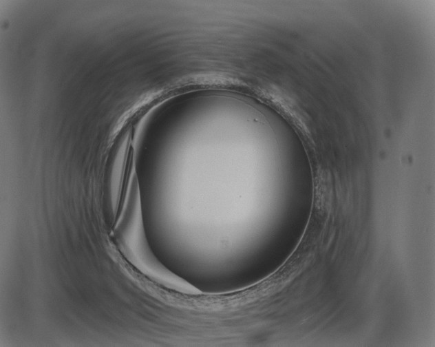 X0000085320015200703161517