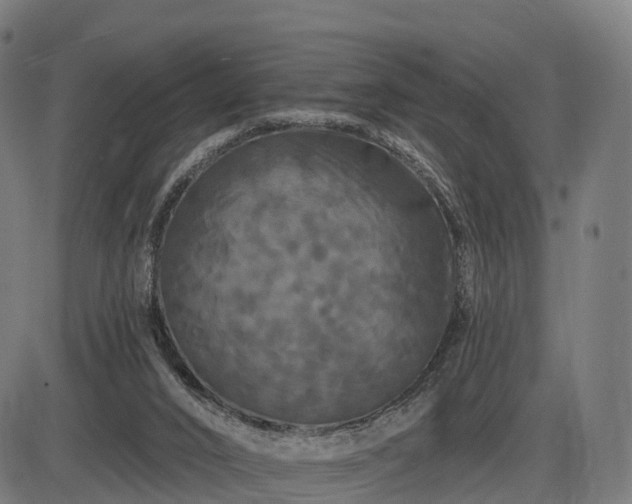 X0000085320016200703161517