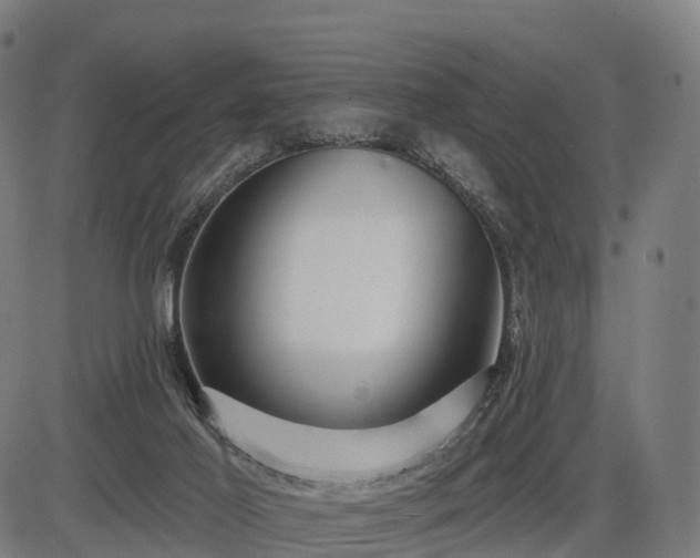 X0000085320021200703161517