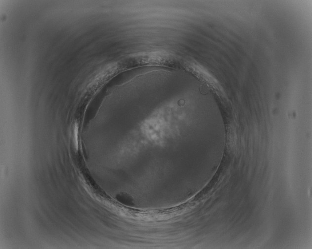 X0000085320022200703161517