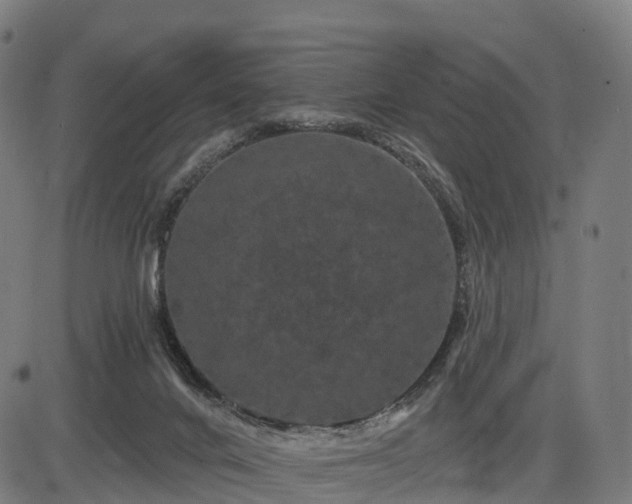 X0000085320024200703161517