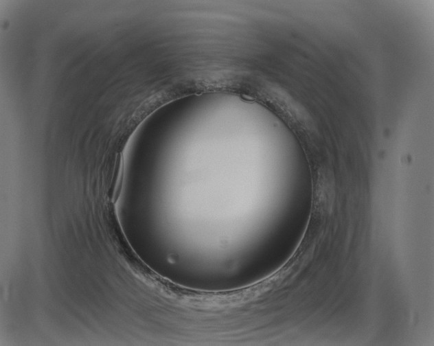 X0000085320025200703161517