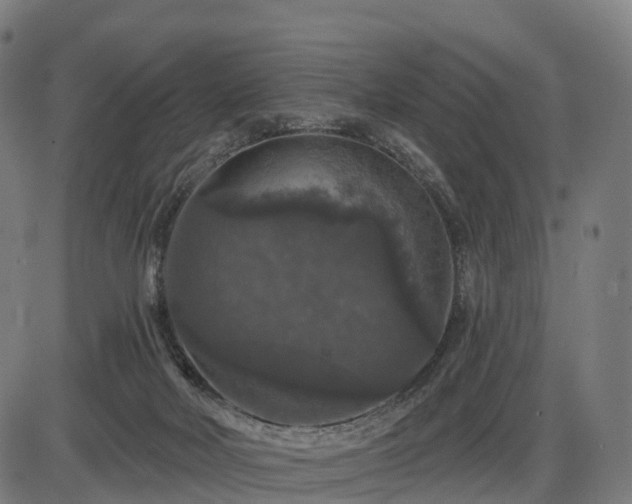 X0000085320026200703161517