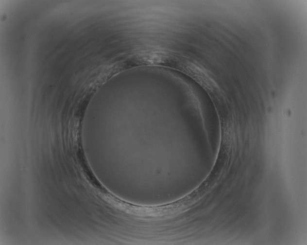 X0000085320030200703161517
