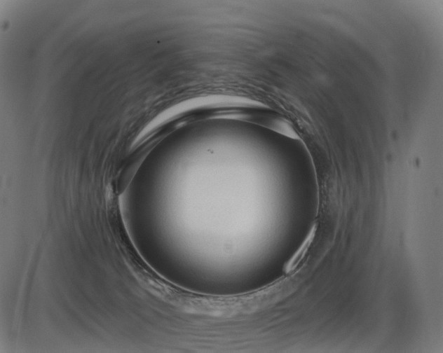 X0000085320033200703161517