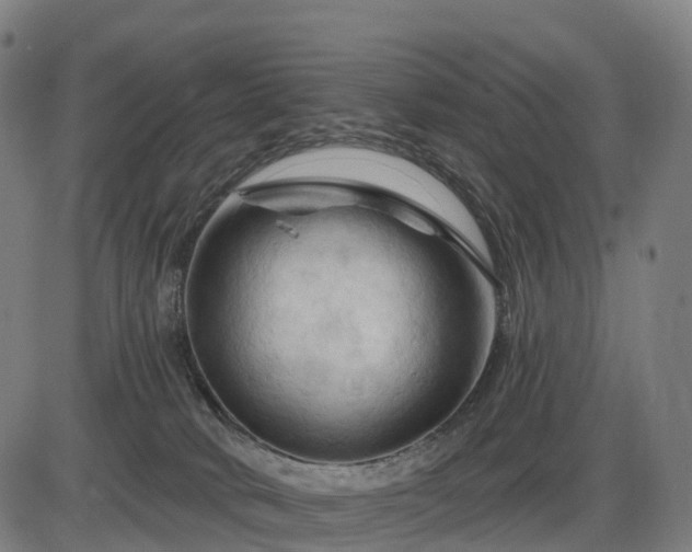 X0000085320034200703161517