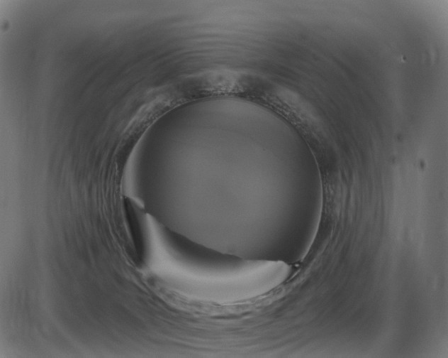 X0000085320035200703161517