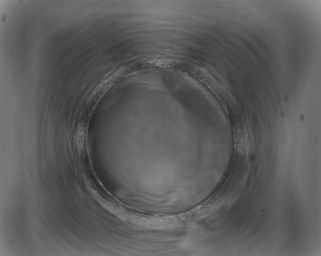 X0000085320036200703161517