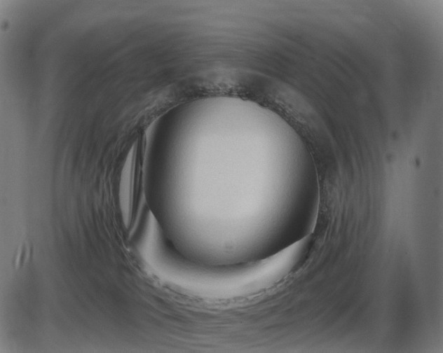X0000085320037200703161517
