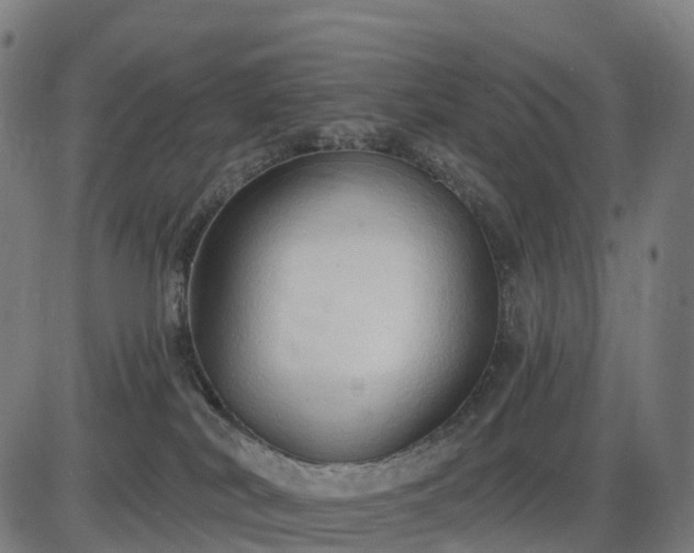X0000085320038200703161517