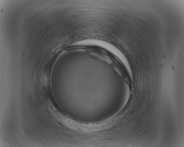 X0000085320039200703161517