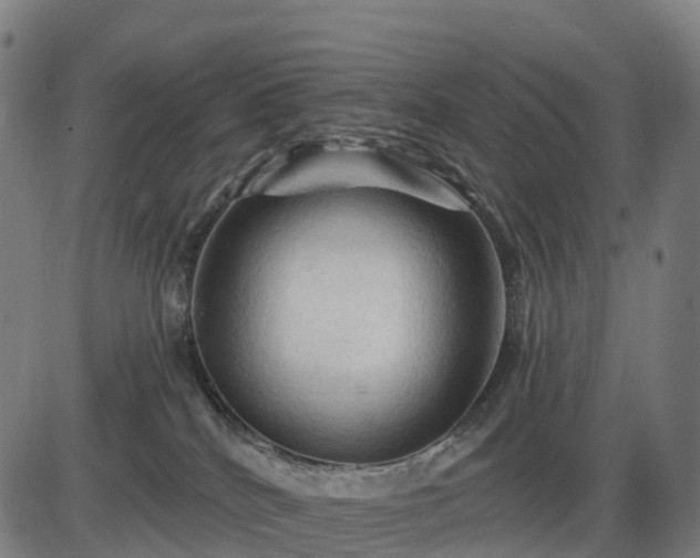 X0000085320040200703161517