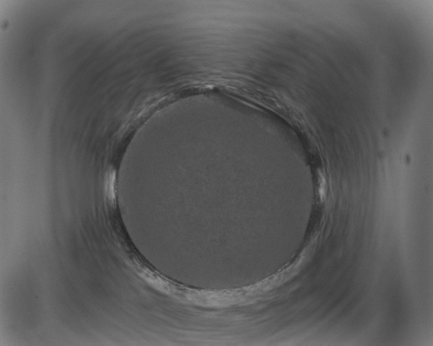 X0000085320041200703161517