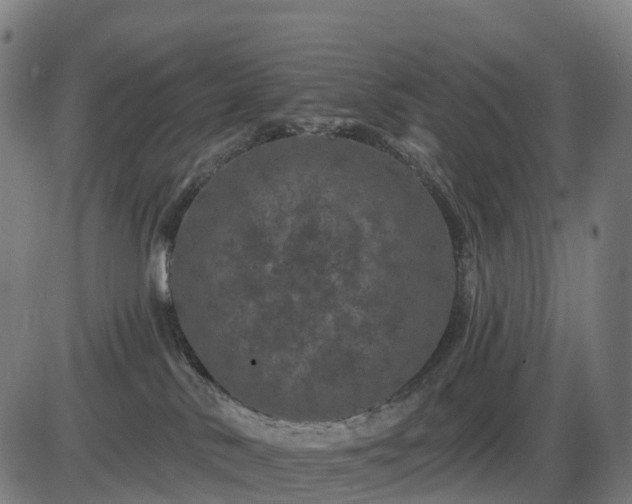 X0000085320042200703161517