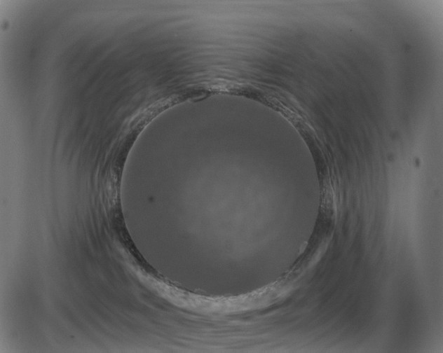 X0000085320043200703161517