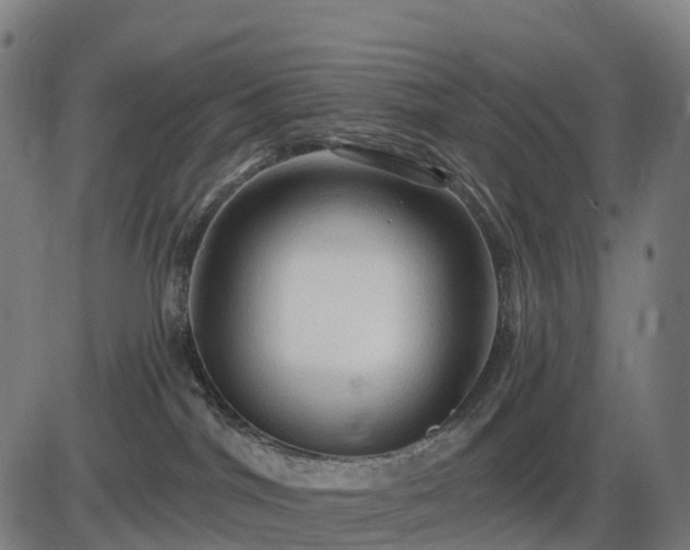 X0000085320044200703161517
