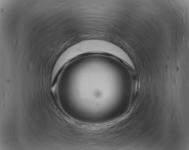 X0000085320045200703161517