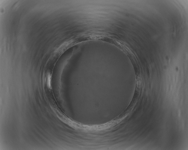 X0000085320046200703161517