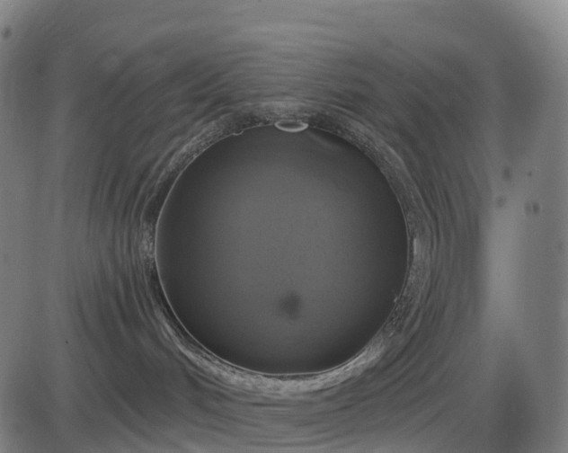 X0000085320048200703161517