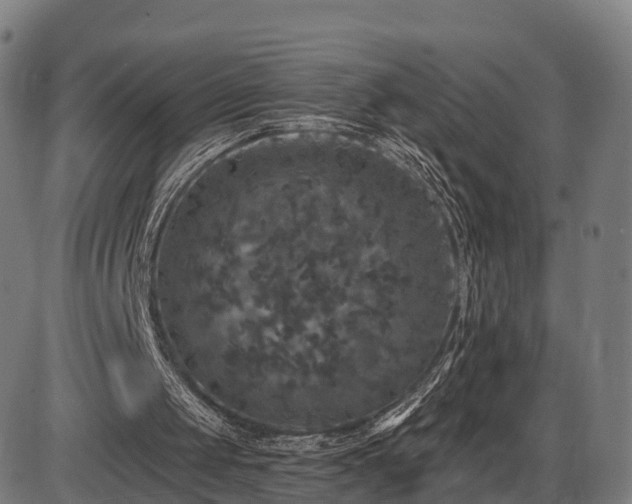 X0000085320049200703161516