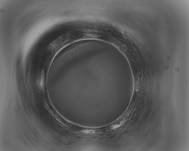 X0000085320052200703161516