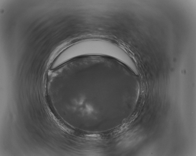 X0000085320053200703161516