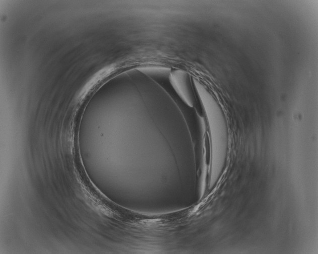 X0000085320054200703161516