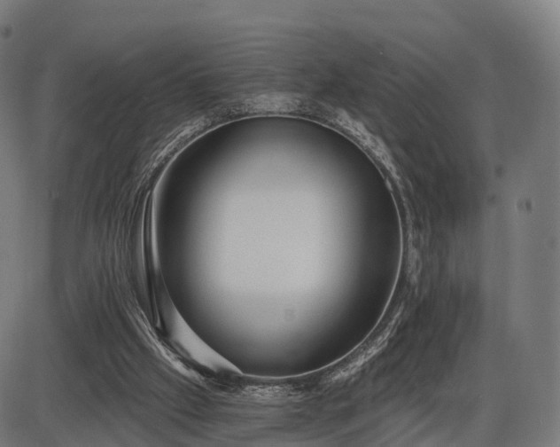 X0000085320057200703161516