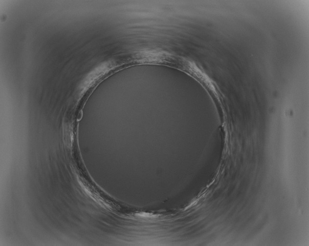 X0000085320059200703161516