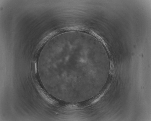 X0000085320061200703161516