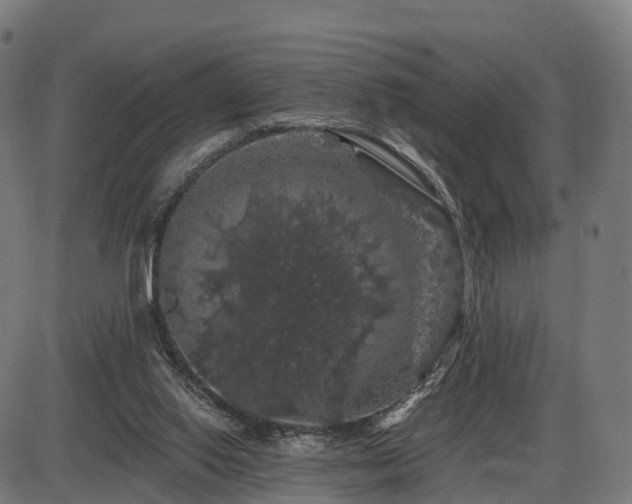 X0000085320062200703161516