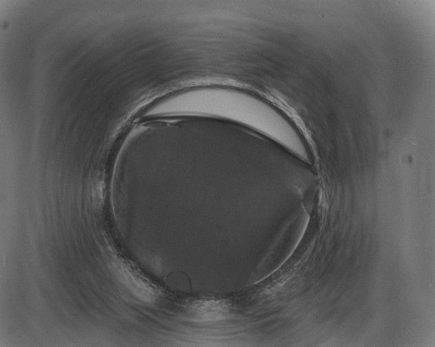 X0000085320063200703161516