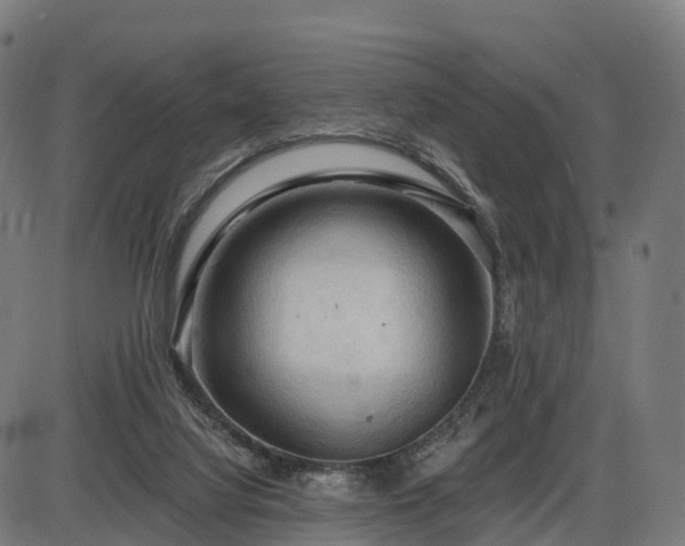X0000085320068200703161516