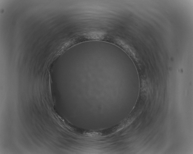 X0000085320069200703161516