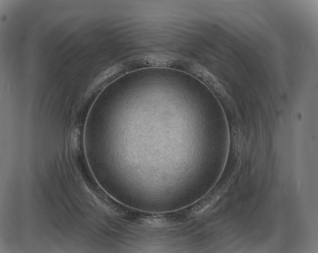 X0000085320071200703161516