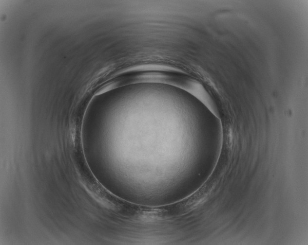 X0000085320072200703161516