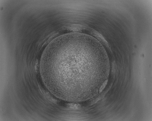 X0000085320073200703161516