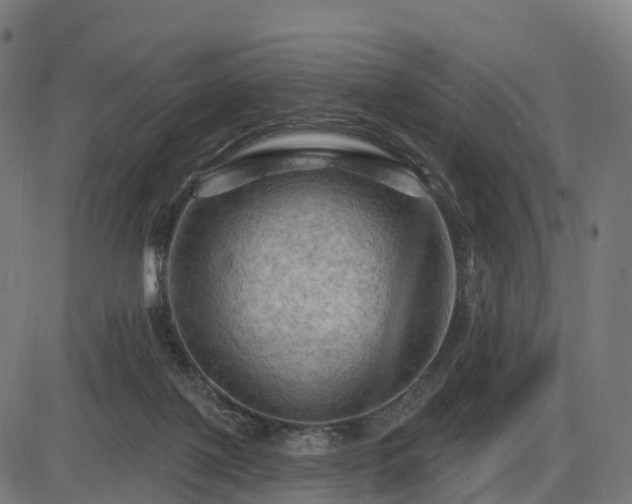 X0000085320075200703161516
