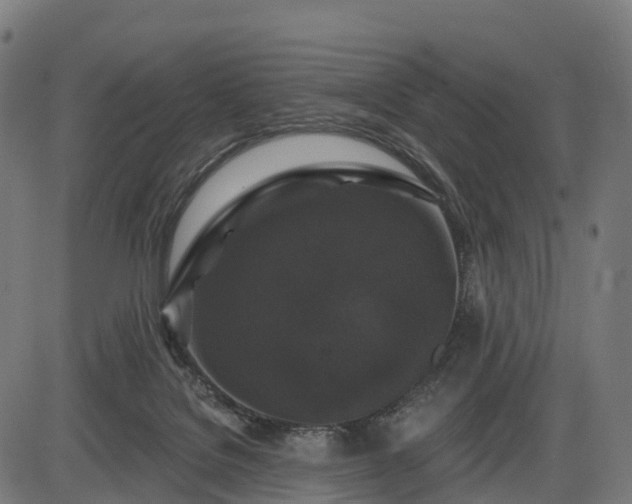 X0000085320076200703161516