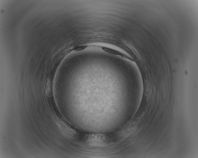 X0000085320077200703161516