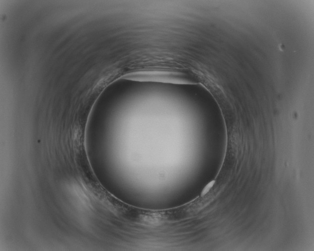 X0000085320079200703161516